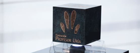 Octava edición del Premio Rodrigo Uría Meruéndano de Derecho del Arte